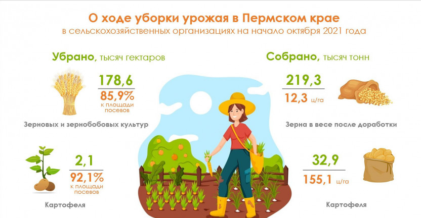 О ходе уборки урожая в Пермском крае на начало октября 2021 года